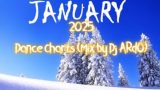 January 2025 Dance Charts Mix by Dj ARd0