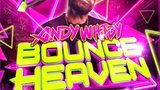 Bounce Heaven 47 mixed by Andy Whitby